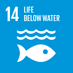 SDGs-14海洋生態